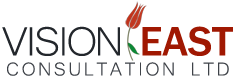 visioneast consultation logo